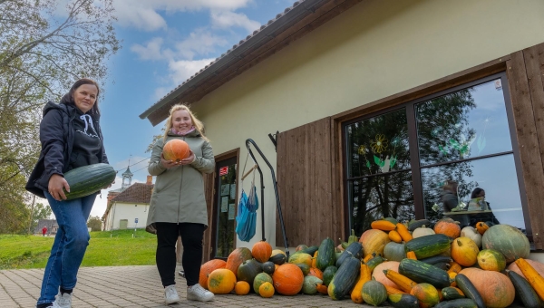 Võrumaa kõrvitsad katavad pealinnas loomade toidulaua